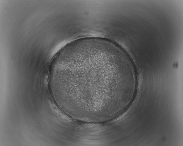 X0000112421163200908281831