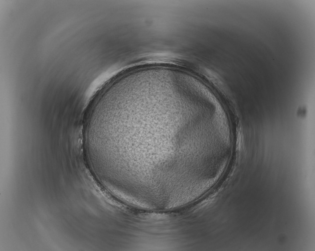 X0000112421164200908281831