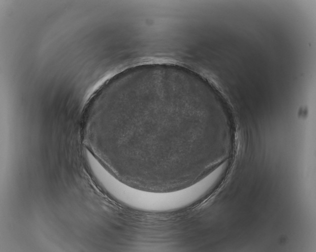 X0000112421165200908281831