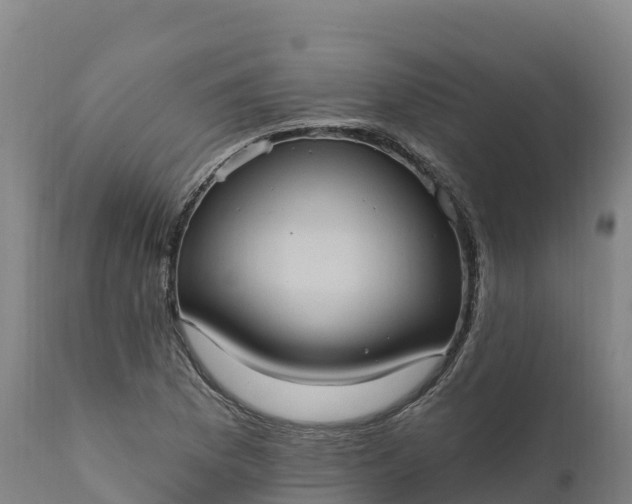 X0000112421169200908281831