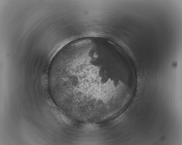 X0000112421170200908281831