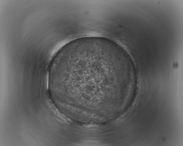 X0000112421171200908281831