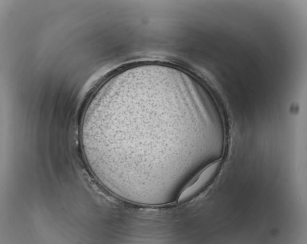 X0000112421172200908281831