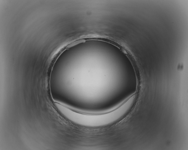 X0000112421173200908281831