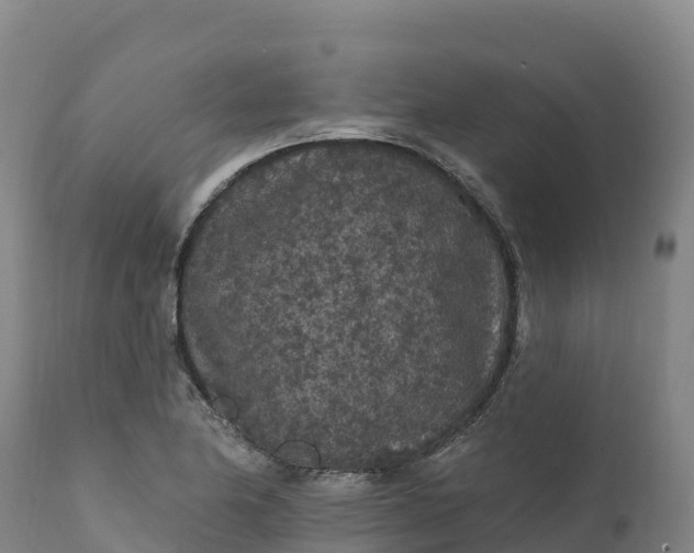 X0000112421174200908281831