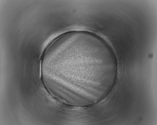 X0000112421175200908281831