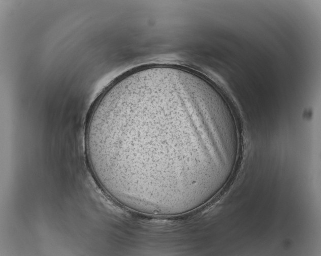 X0000112421176200908281831