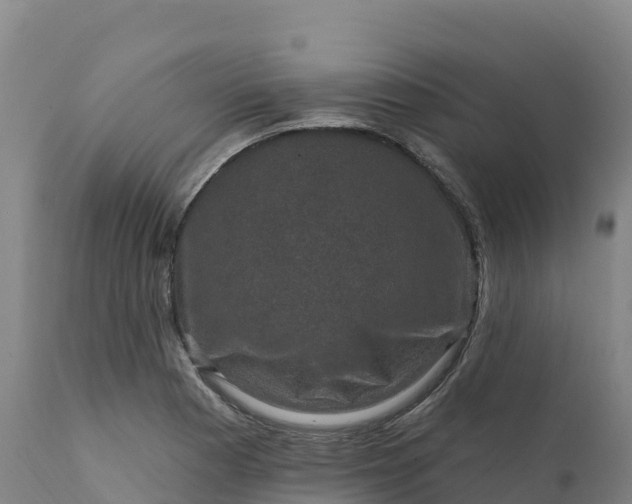 X0000112421177200908281831