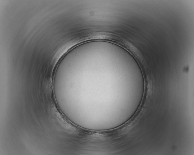 X0000112421178200908281831