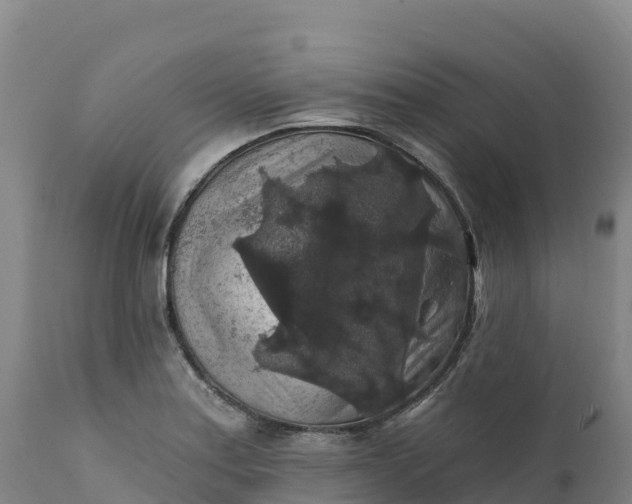 X0000112421179200908281831