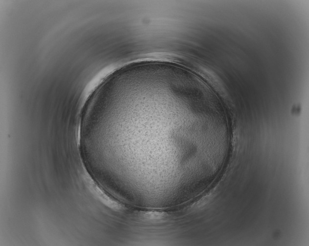 X0000112421180200908281831