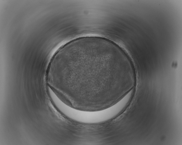 X0000112421181200908281831