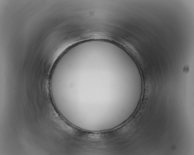 X0000112421182200908281831