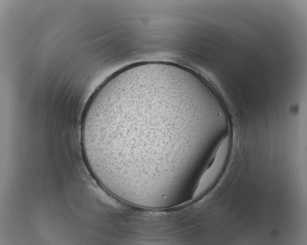 X0000112421184200908281831