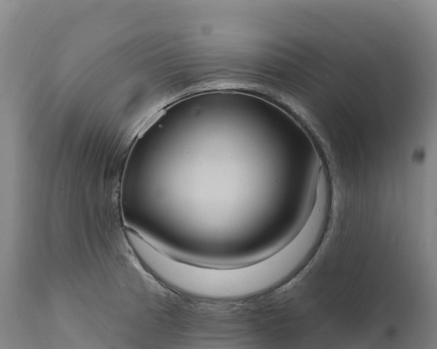 X0000112421185200908281831