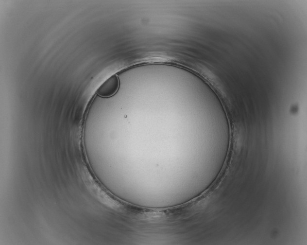 X0000112421186200908281831