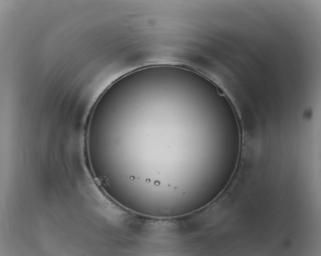 X0000112421187200908281831