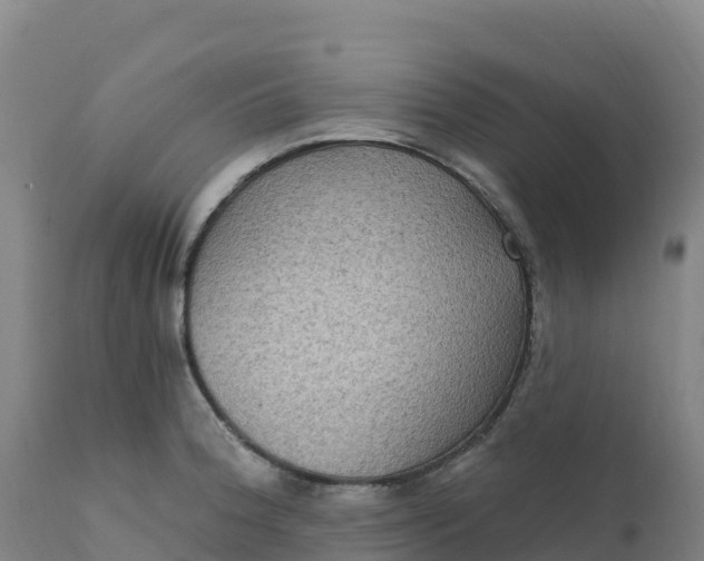 X0000112421188200908281831