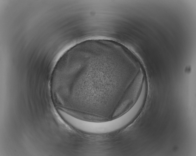 X0000112421189200908281831