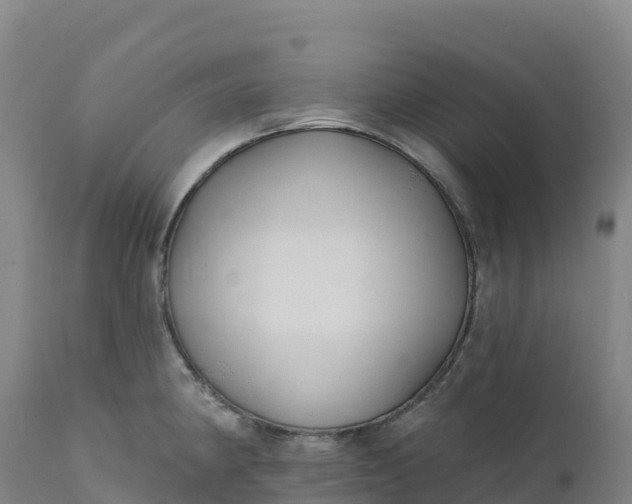 X0000112421190200908281831