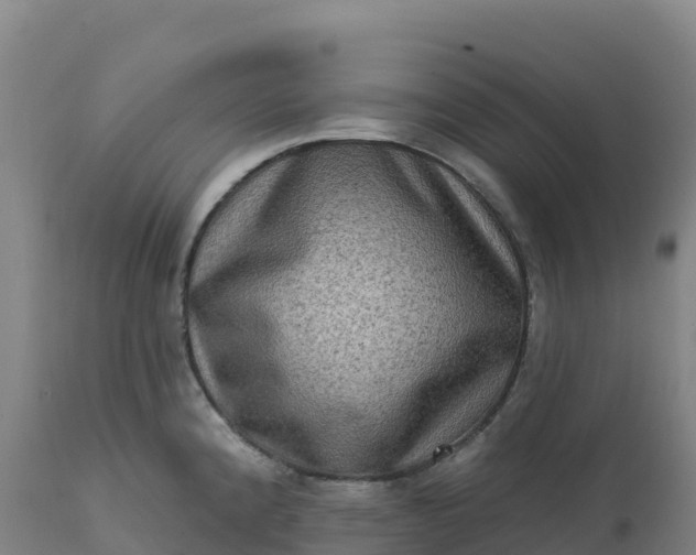 X0000112421192200908281831