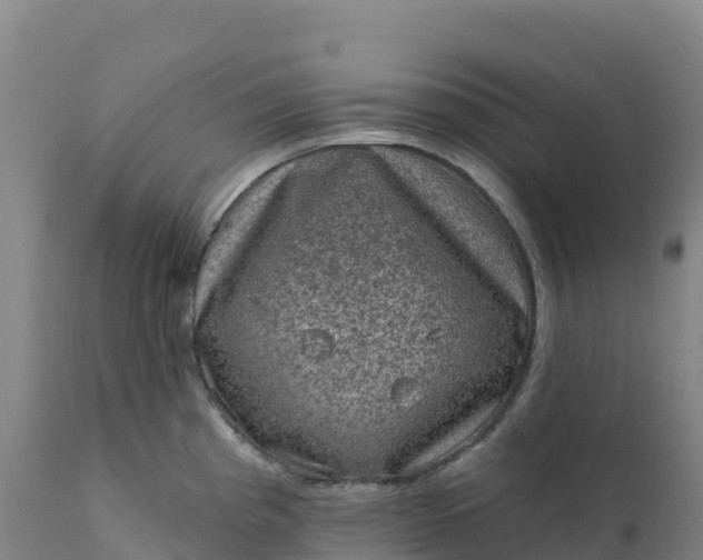 X0000112421193200908281831