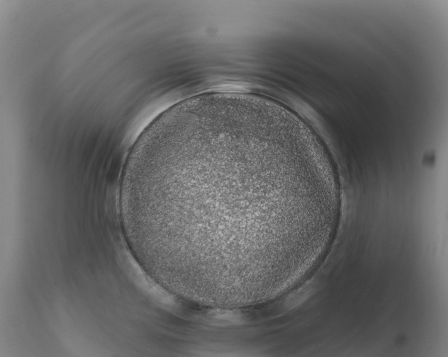 X0000112421194200908281831