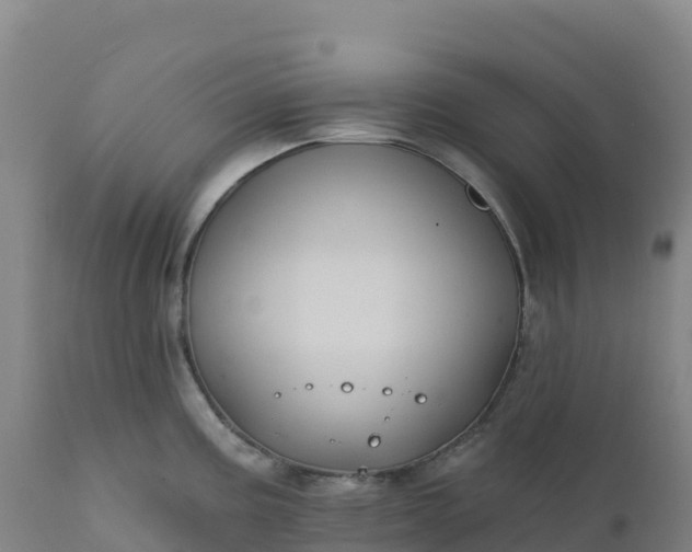 X0000112421195200908281831