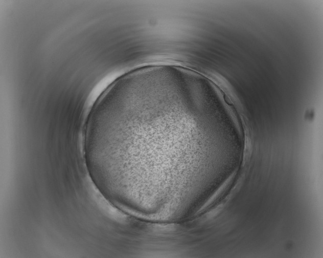 X0000112421196200908281831