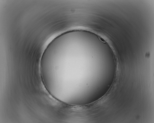 X0000112421199200908281831