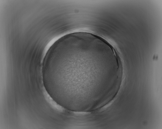 X0000112421200200908281831