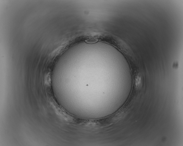 X0000112421204200908281830