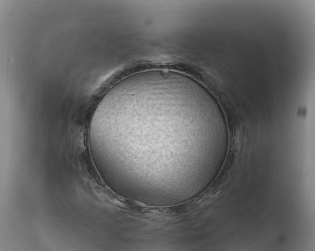 X0000112421205200908281830