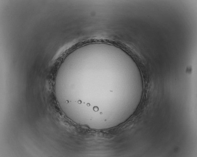 X0000112421207200908281830