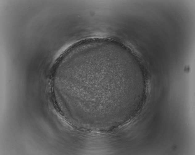 X0000112421208200908281830