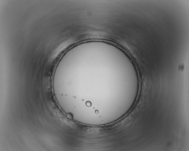 X0000112421211200908281830