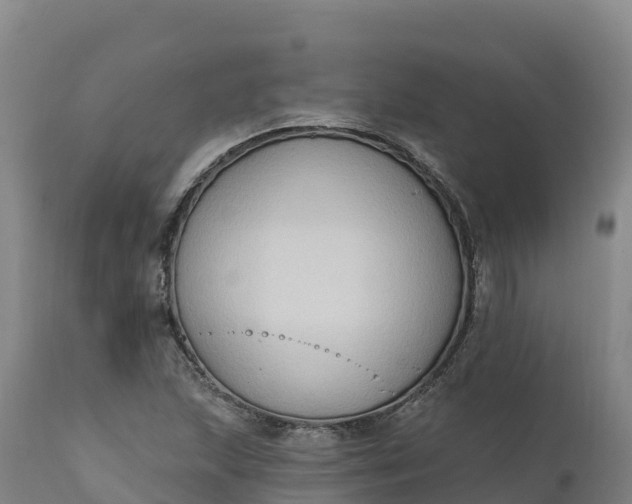 X0000112421215200908281830