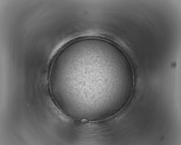 X0000112421216200908281830