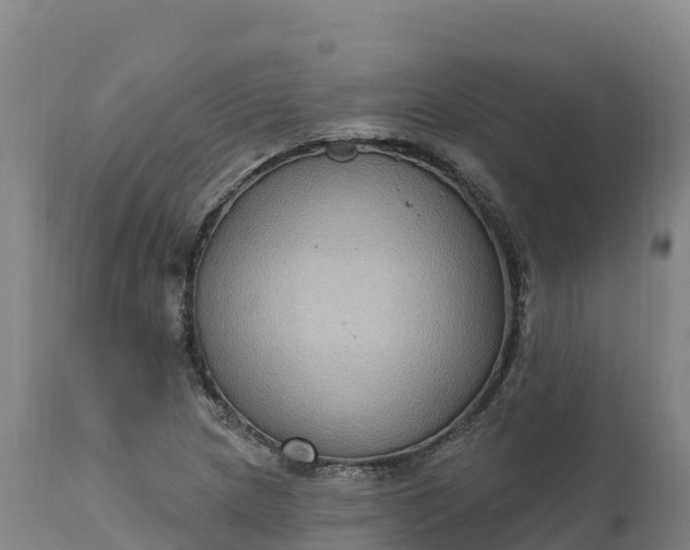 X0000112421217200908281830