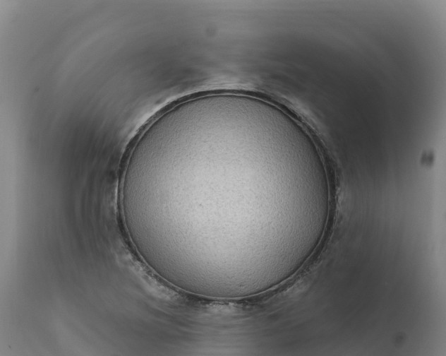 X0000112421220200908281830