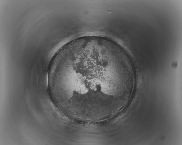 X0000112421221200908281830