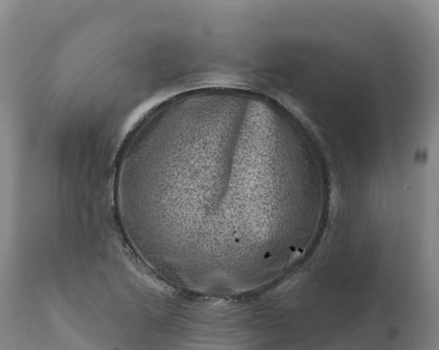 X0000112421222200908281830