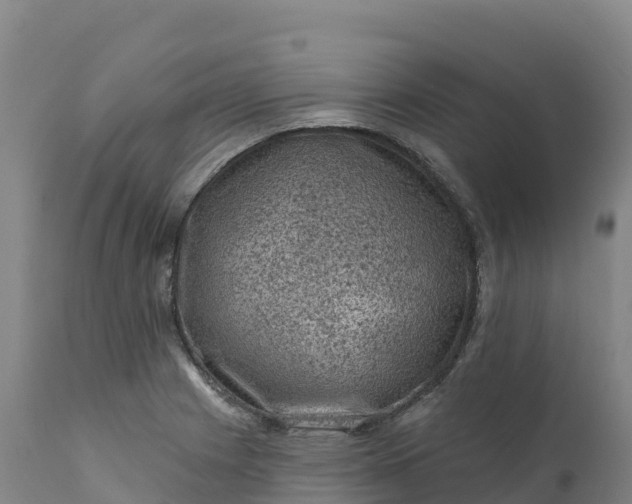 X0000112421225200908281830