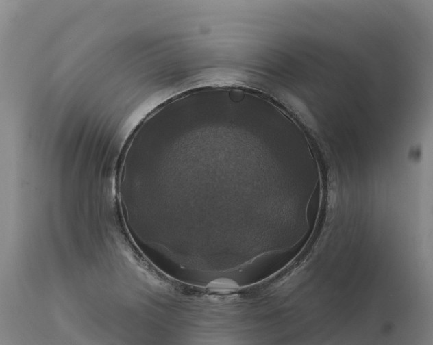 X0000112421226200908281830