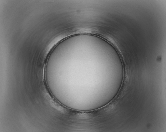 X0000112421227200908281830