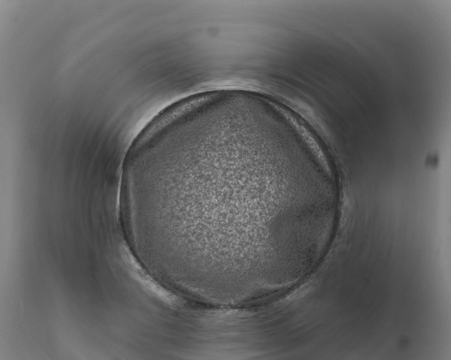 X0000112421228200908281830