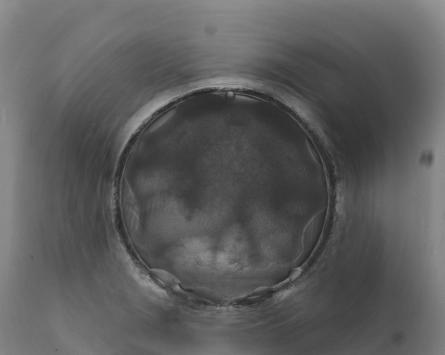 X0000112421229200908281830