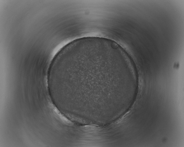 X0000112421230200908281830