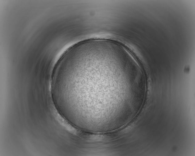 X0000112421232200908281830