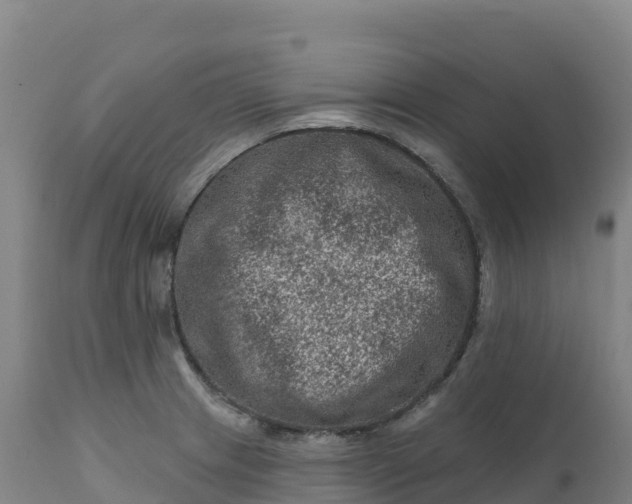 X0000112421233200908281830